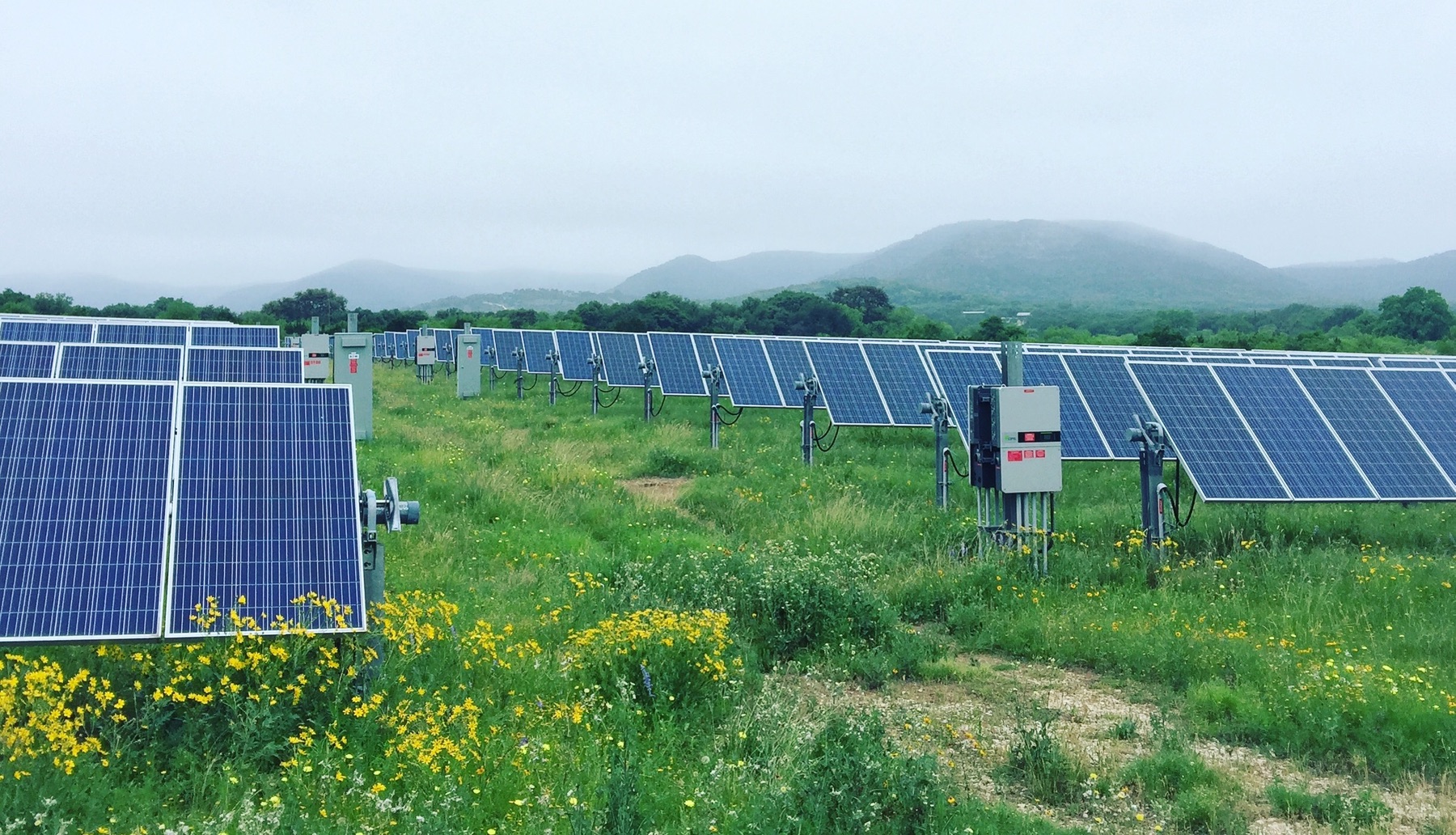 A solar farm owned by a rural Texas electric co-op. A solar farm owned by a rural Texas electric co-op.